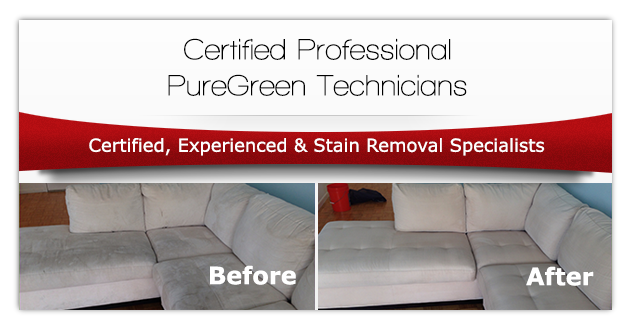 PureGreen's Certified Technicias Work
