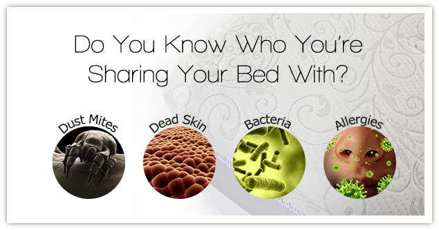 Harmful element your share your bed with like bacteria, dead-skin-cells, dust mites and various types of allergies